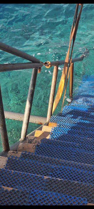 Strand Pickalbatros Sea World Resort - Marsa Alam