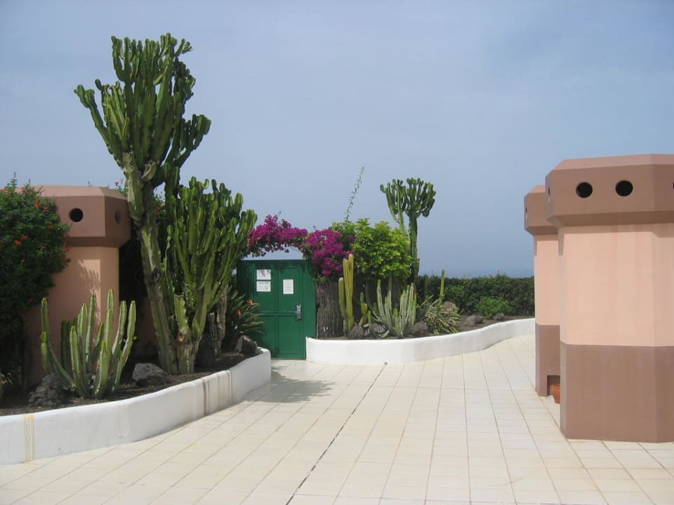 Dachterrasse Hotel Puerto Palace