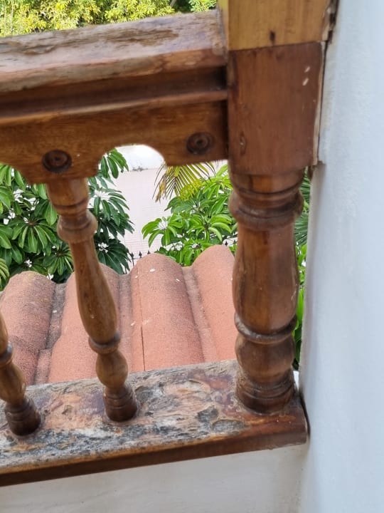 Ausblick Apartamentos Casablanca