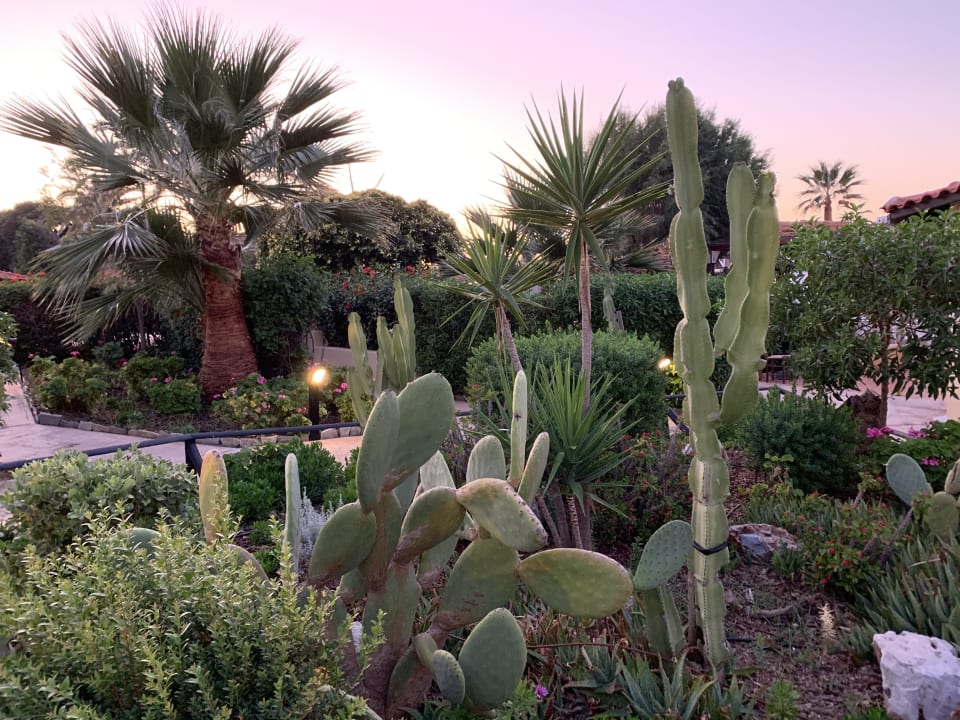 Außenansicht Anissa Beach & Village