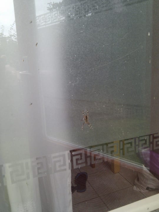 Bungalow 354 riesege Spinne Het Grootslag Vakantiepark