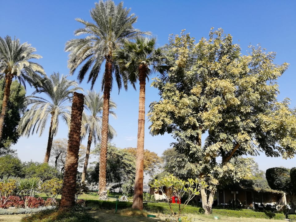 Außenansicht Jolie Ville Kings Island Luxor