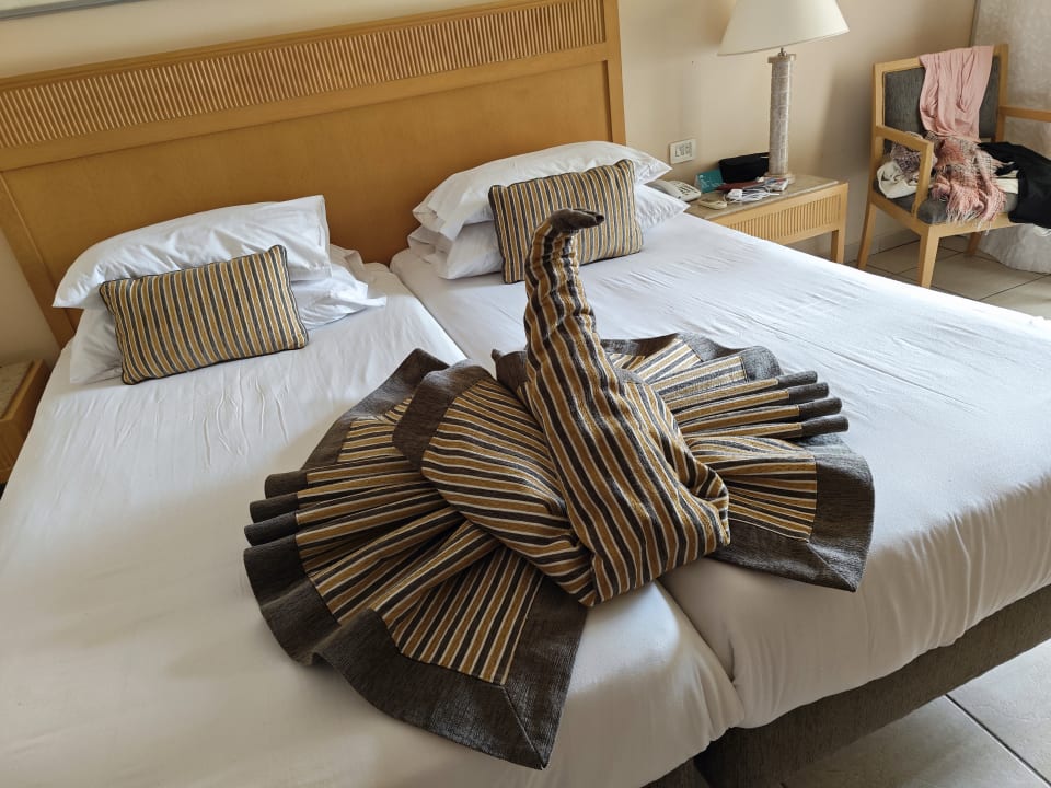 Zimmer Hotel JAZ Makadi Star & Spa