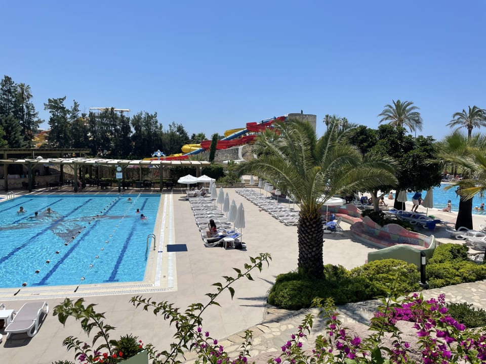 Pool Blue Waters Club