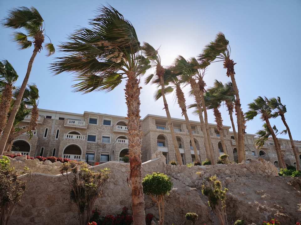 Sonstiges Pickalbatros Citadel Resort