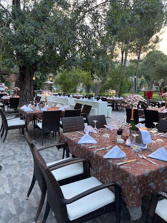 Gastro ROBINSON ÇAMYUVA