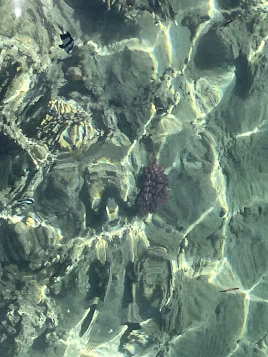 Sonstiges Cleopatra Luxury Beach Resort Makadi Bay - Adults only