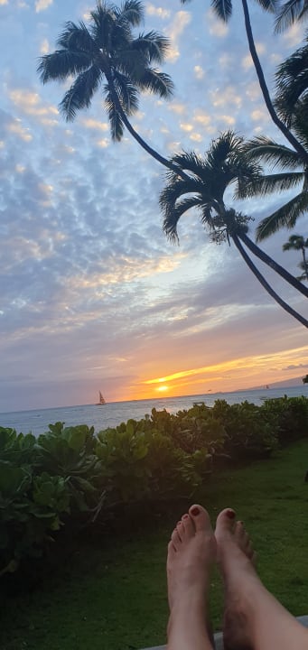 Gartenanlage Diamond Head Beach Hotel 303 - Studio Apts