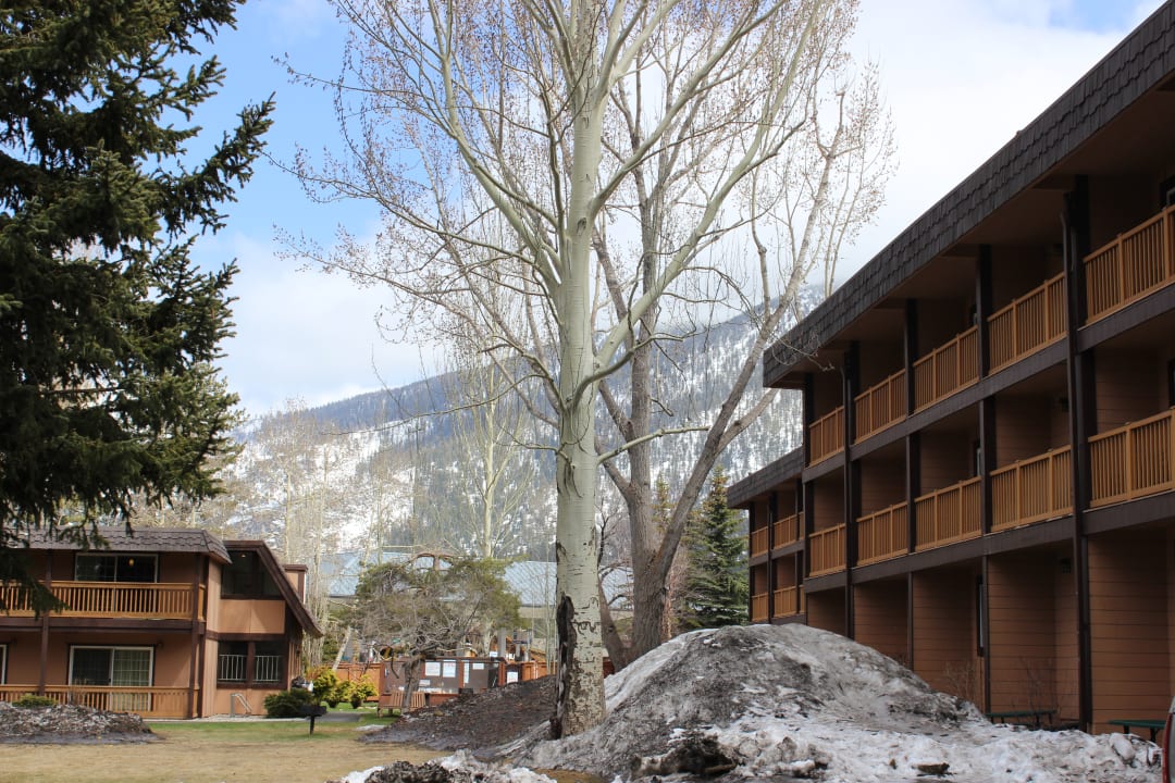 Ausblick Hotel Tahoe Beach & Ski Club