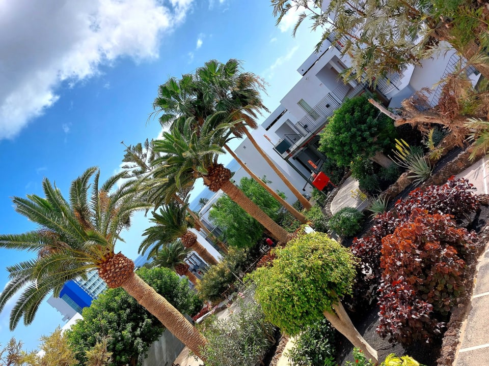 Außenansicht Sol Fuerteventura Jandia - All Suites