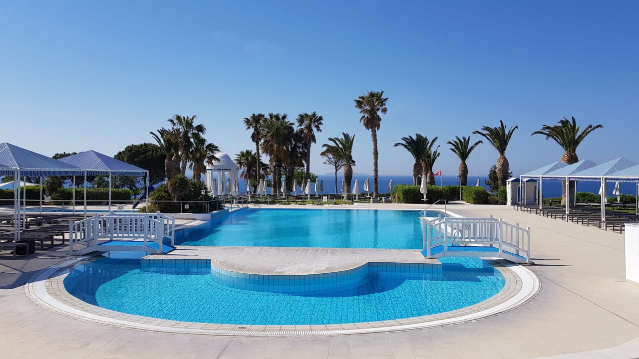 Pool ROBINSON DAIDALOS