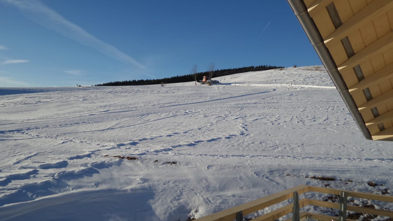 Ausblick vom Balkon derWaldfrieden naturparkhotel