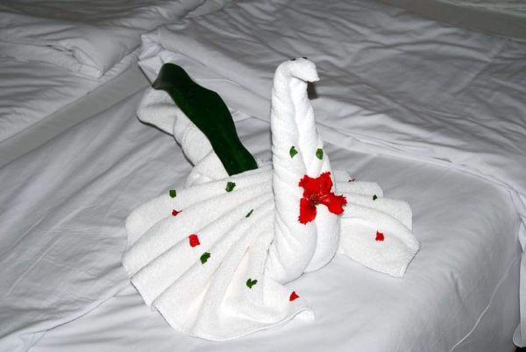 Der Gute-Besserung-Origami-Schwan Ghazala Beach