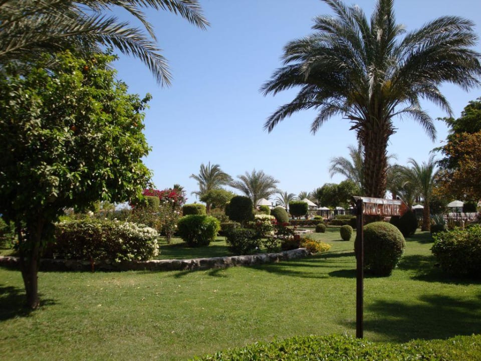 Herrliche Gartenanlage Lotus Bay Beach Resort