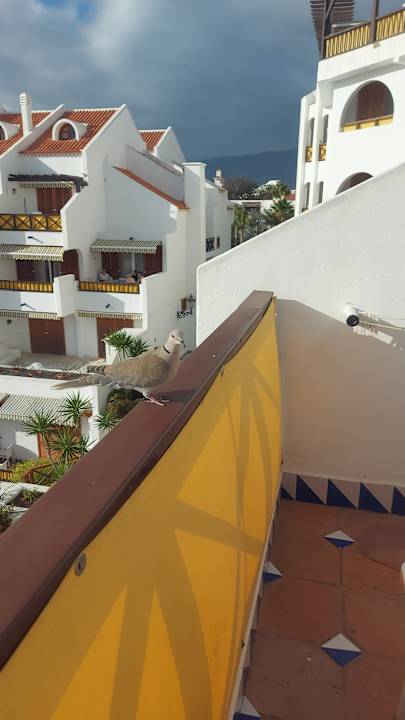 Zimmer Parque Santiago III Official