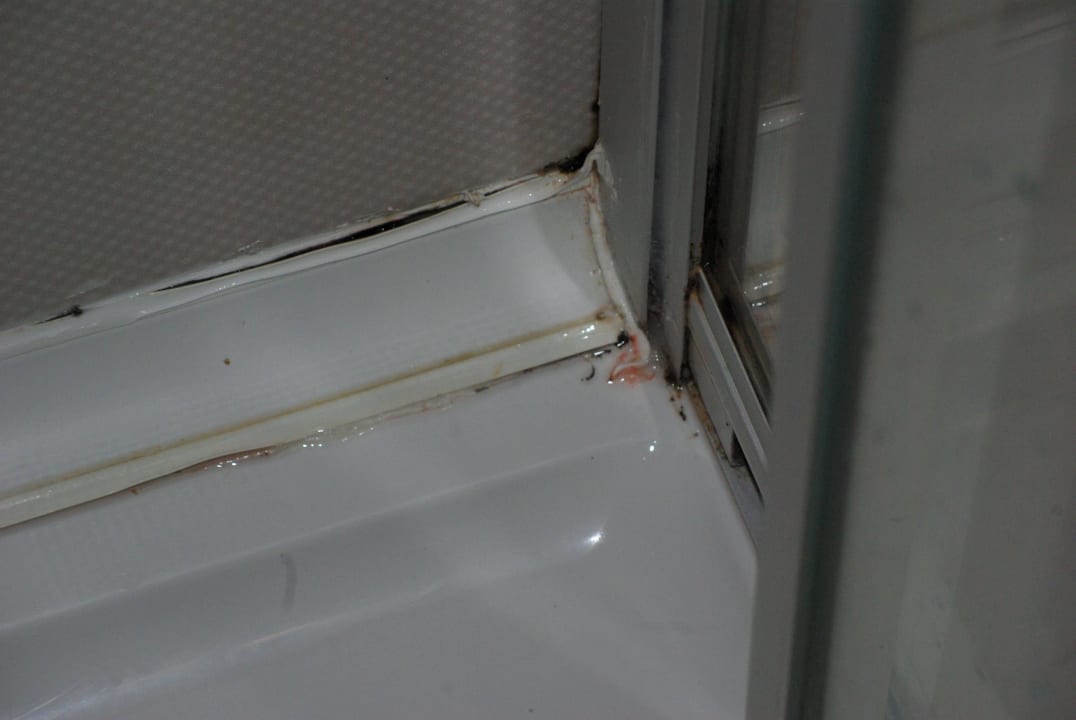 Dusche eklig Crystal Flora Pearl Collection