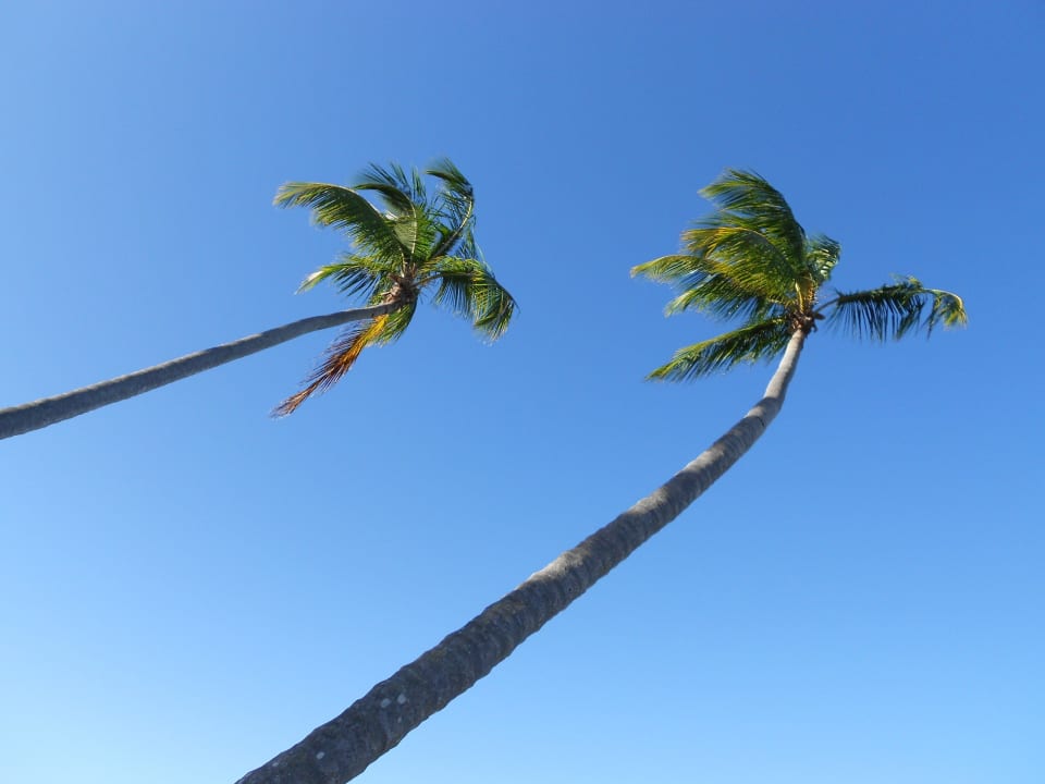 Super! Bahia Principe Grand El Portillo