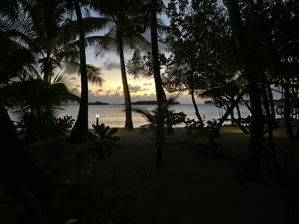 Ausblick Cinnamon Dhonveli Maldives