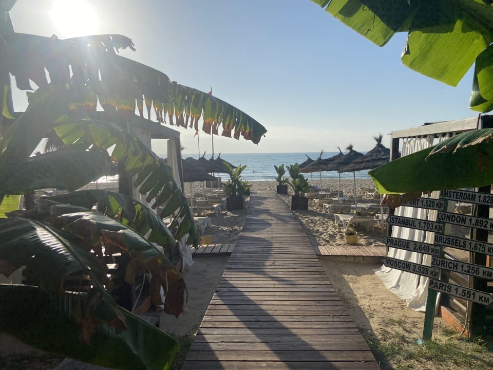 Strand Hotel Royal Nozha