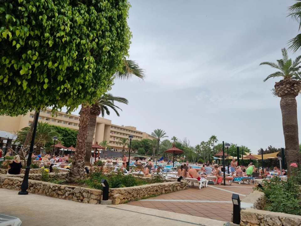 Pool Hotel Club Cala Romani