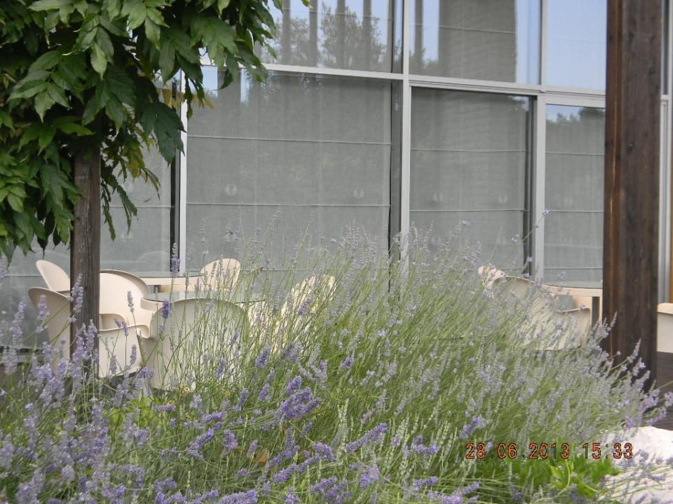 Terrasse Hotel Garden Istra Plava Laguna