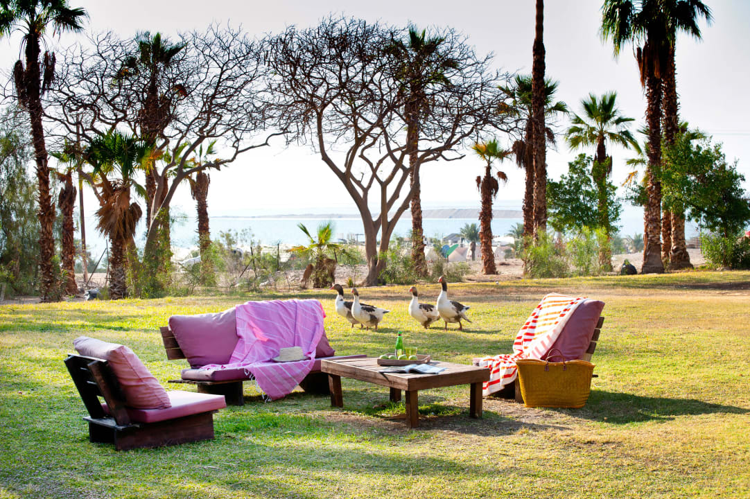 Garden Leonardo Inn Hotel Dead Sea