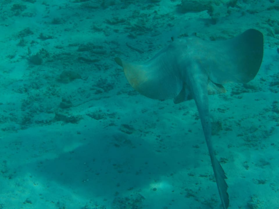 Unterwasser ROBINSON MALDIVES