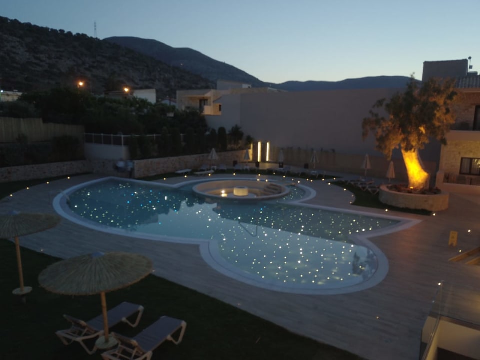 Pool Cactus Royal