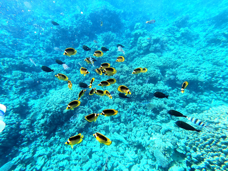 Sport & Freizeit Stella Beach Resort & Spa Makadi Bay