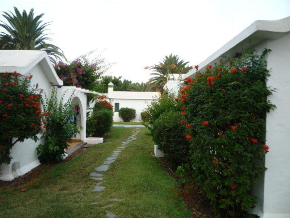 Der Weg zwischen den Bungalows Canary Garden Club