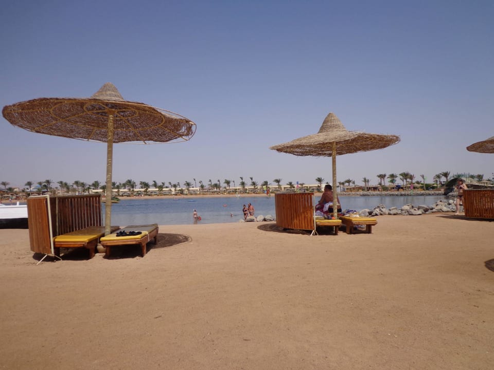 Genug freie Liegen mit Schirm Desert Rose