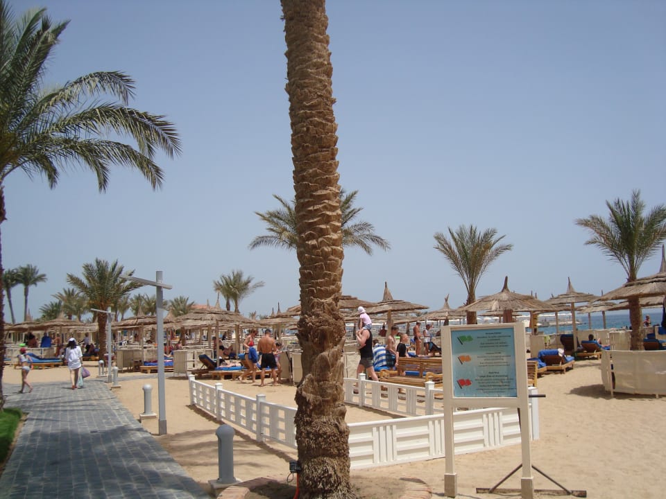 Gartenanlage Beach Albatros Resort