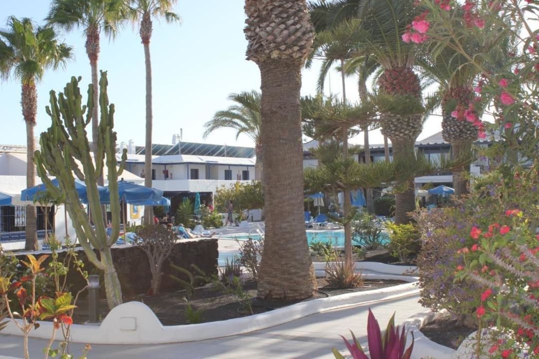 Garten mit Pool im Hintergrund Bungalows & Appartements Playamar