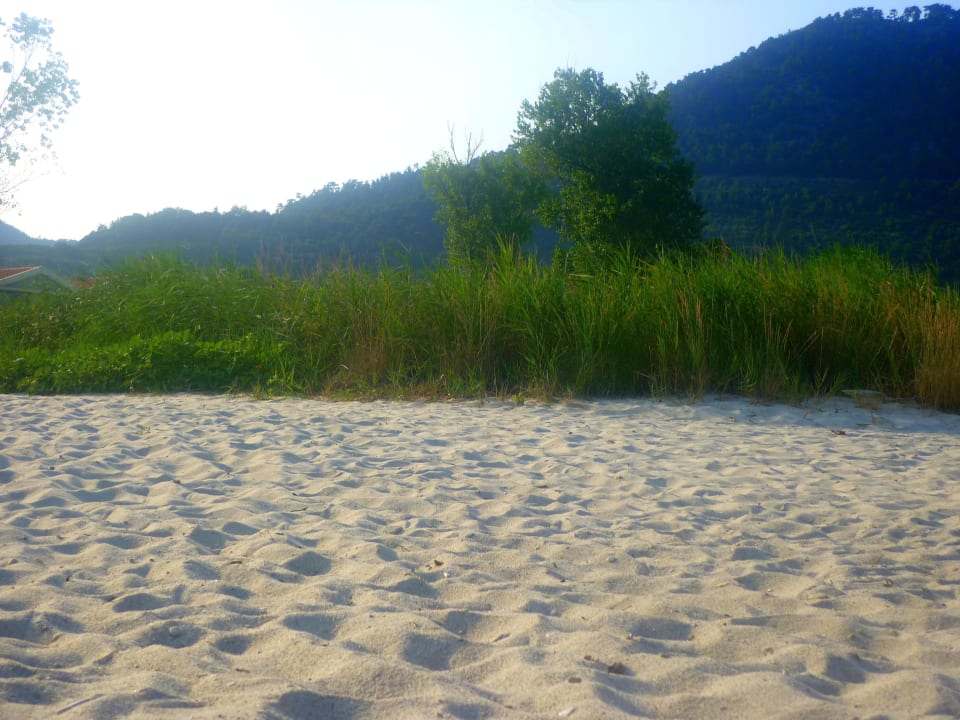 Strand Alexandra Golden Boutique - Adults only