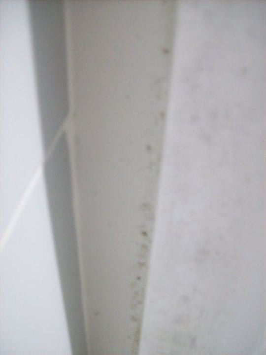 Schimmel Hipotels Mediterraneo Club