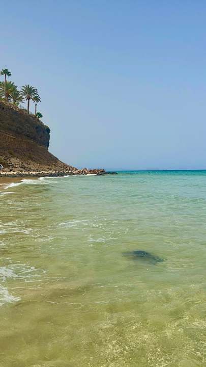 Strand Iberostar Waves Gaviotas Park