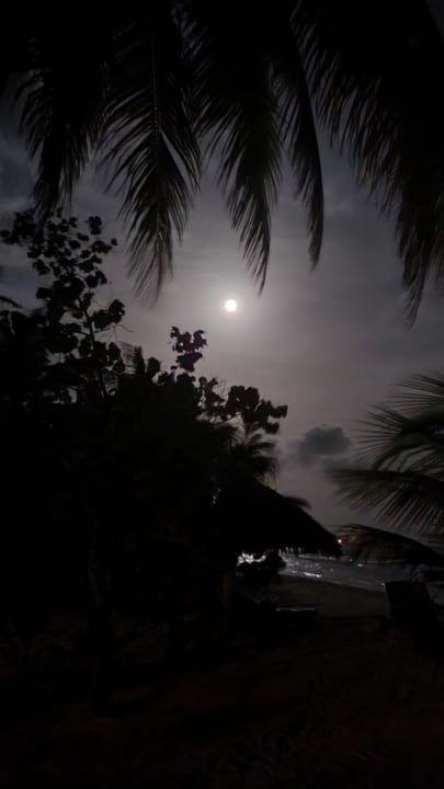 Ausblick Filitheyo Island Resort