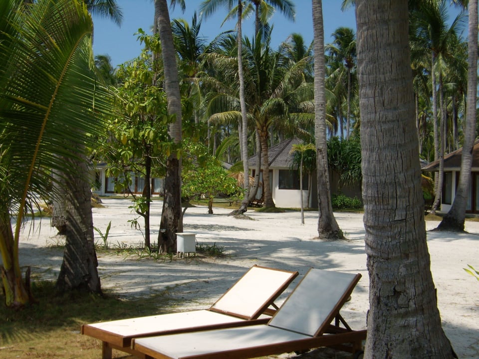 Hinten sind die Cottages zu sehen Kura Kura Resort