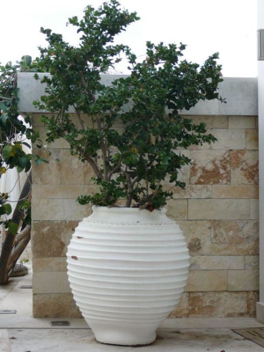 Flora Glaros Beach Hotel