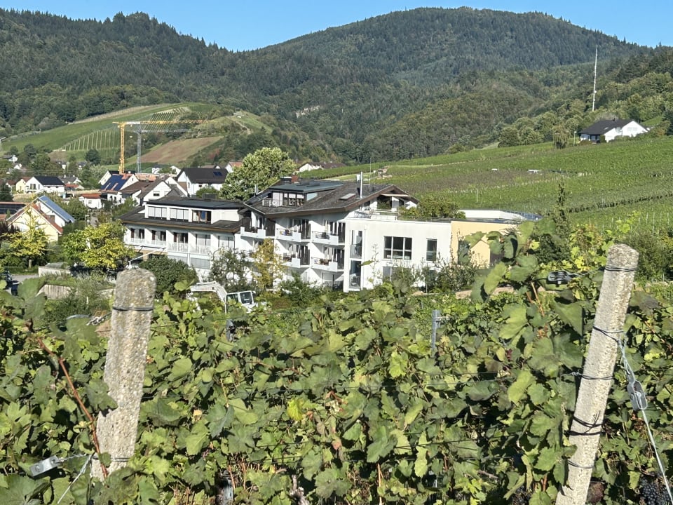 Außenansicht Hotel Rebenhof