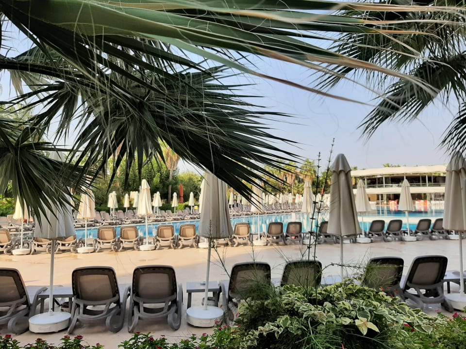 Pool VONRESORT Golden Coast