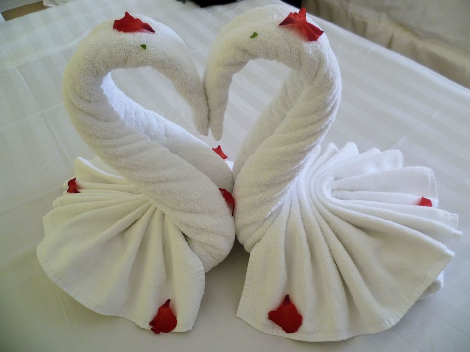 Jeden Tag neu Viva Azteca by Wyndham - All Inclusive Resort