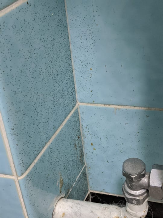 Zimmer Haus am See - Ferienwohnung Zeitz-Kudzia