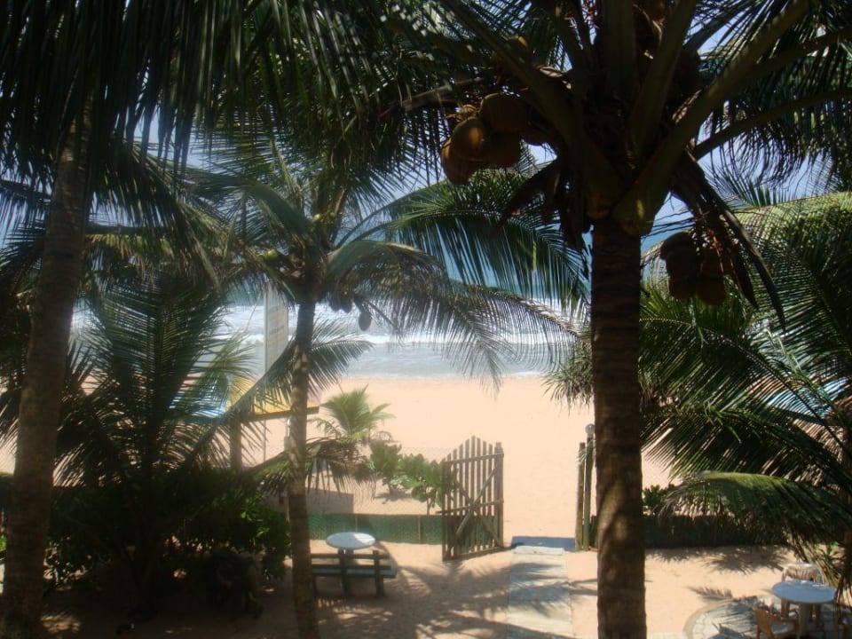 Blick von unserer Terrasse Hotel Oasey Beach