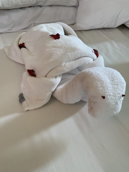 Zimmer Hotel Mercure Hurghada