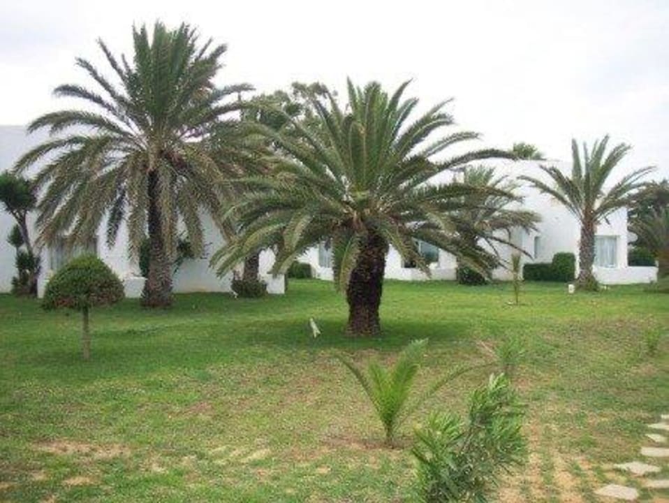 Bungalows Steigenberger Marhaba Thalasso Hammamet