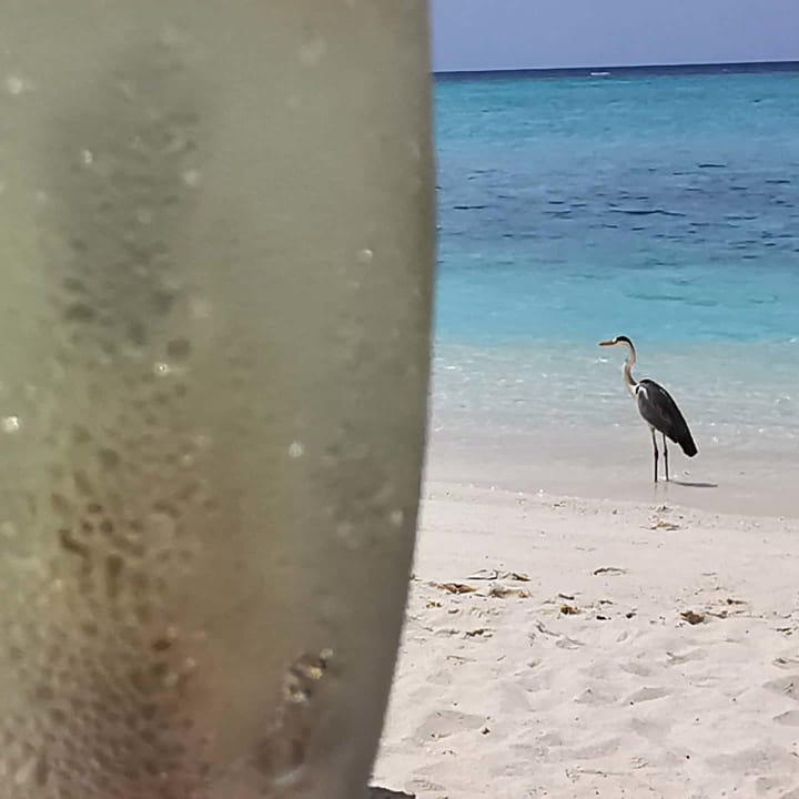 Strand Summer Island Maldives