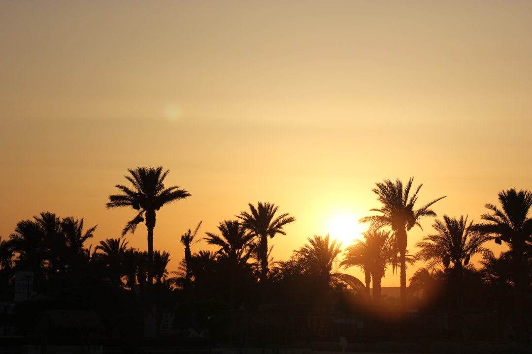 Ausblick Aladdin Beach Resort