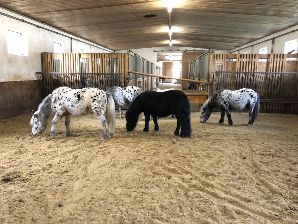 Sonstiges Aldiana Club Ampflwang