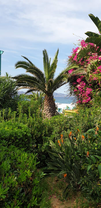 Gartenanlage Mastichari Bay Hotel